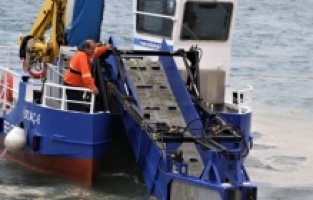 Kartal sahilleri deniz salyasından temizleniyor