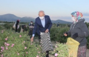 Kılıçdaroğlu, gül hasadında!