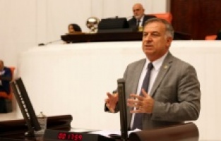 "Ruhsar Pekcan'ı Ticaret Bakanı yapmak, ciğeri kediye teslim etmek!"