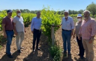 Çiftçi Destek Beklerken İktidar Çelme Takıyor”