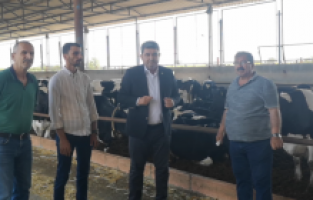 "Çiğ süt prim desteğini düşürmek çiftçiye üretme demektir”