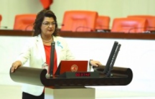 "Kadınlar kendilerini güvende hissedene kadar mücadelemiz sürecek"