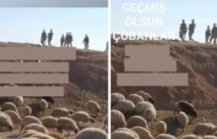 Meclis'te "koyunlara gözaltı" tartışması