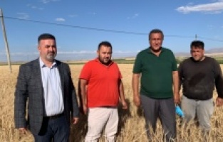 “Arpada ithalat tam gaz”