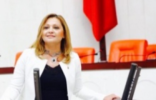 "Basın demokratik yaşamın vazgeçilmez unsuru"