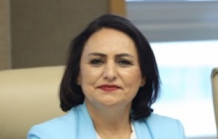 “Basının can damarı kesiliyor!”