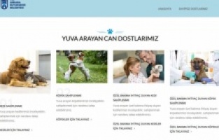 Başkent'te hayvan dostu yeni uygulama: "E-Pati"
