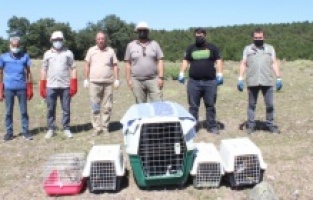 Eskişehir Hayvanat Bahçesi'nden doğal hayata destek