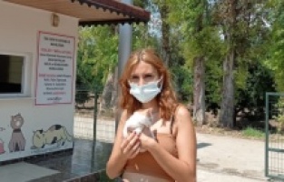 Konyaaltı’nda hayvan barınağı ziyarete açıldı