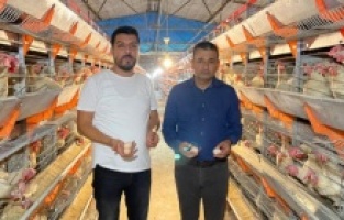 "Tavuk ve yumurta üreticilerinin dayanacak gücü kalmadı"