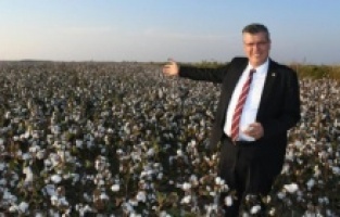 Ayhan Barut'tan hasat öncesi pamuk çağrısı