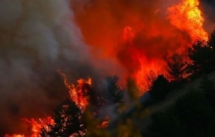 Bakan Koca açıkladı: "Muğla'da bir can kaybı daha"