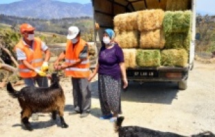 Başkan Şükrü Sözen, Habibe Teyze'yi unutmadı