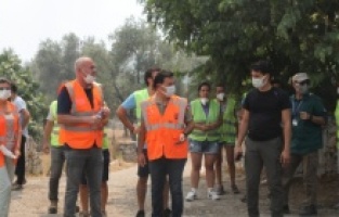 Bodrum'da yangınla mücadele canla başla sürüyor