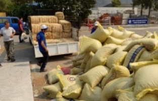 Muğla'da yangın mağduru üreticilere 368 ton hayvan besini desteği