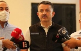 Pakdemirli'den yangınlar hakkında açıklama