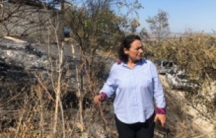 “Son 10 yılda 100 bin hektardan fazla orman alanı küle döndü!”