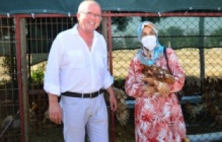 Yangınzedelere kanatlı hayvan desteği