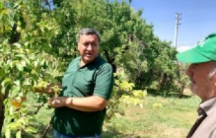 “Bahçelerin kabusu Akdeniz sineği”