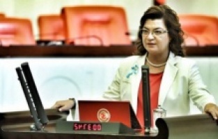 CHP orman yangınlarının peşini bırakmıyor