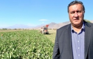 “Kayıp su oranı yüzde 37”