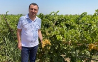 “Üzüm üreticisini perişan ettiniz”