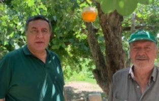 “Bakanlık, Akdeniz Meyve Sineğiyle mücadelede etkisiz kaldı”