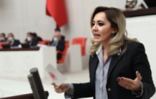 İyi Partili Cesur, elma üreticisinin feryadını Meclis'e taşıdı