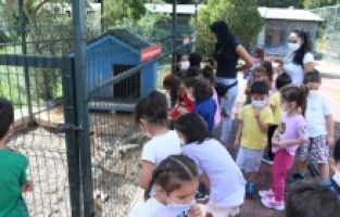 Konyaaltı Belediyesi, minik hayvanseverleri ağırladı
