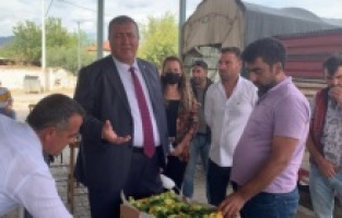 “Plansız tarım, sorunları katlıyor”