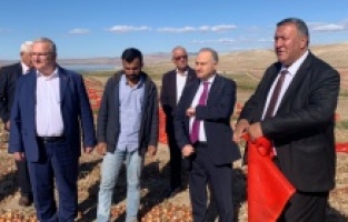 “Soğan tarlada kaldı”