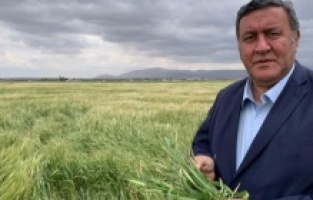 “TMO, arpada yerli üreticiye 1750 lira, yabancı üreticiye 3 bin 180 lira ödüyor”