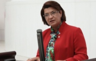 CHP'li Şahin'den Amanos'un eteğine kurulacak alçı ocağına tepki