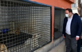 Çiğli Belediyesi “sokak sakinlerini” kara kışa hazırlıyor