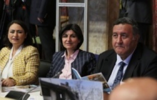 "Limon üreticisi ağaçlarını söküyor”