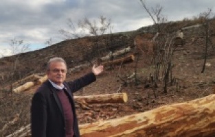 CHP'den orman yangınında evi yananlar için kanun teklifi