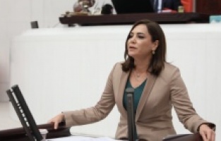 "Ormansızlaştırma yönetmeliği geri çekilmelidir"