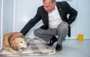 Seyhan'da sokak hayvanları da yalnız değil