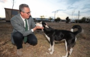 Artık gıdalar sokak canlarının maması olacak