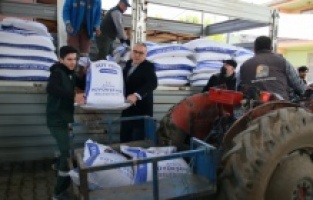 Aydın'da üreticiye yem desteği
