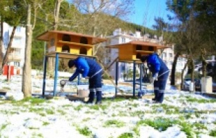 Büyükşehir’den can dostlara mama takviyesi