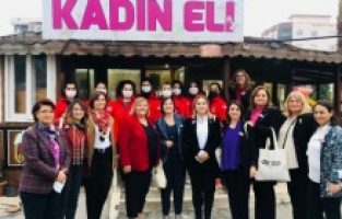 CHP'li kadın milletvekilleri Adana'ya çıkarma yaptı