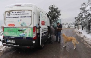 Kartal Belediyesi kar yağışında sokak hayvanlarını unutmadı