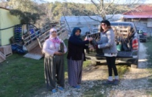 Antalyalı çiftçilere ceviz ve meyve ağacı fidanı dağıtılıyor