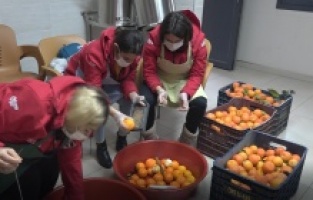 Ceyhan Belediyesi'nden turunç harekatı