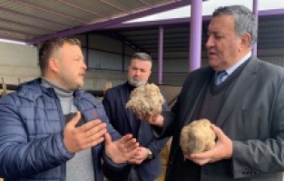 CHP'li Gürer'den çiftçiye nefes aldıracak kanun teklifi