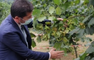 "Fındığın zahmetini üretici çekiyor, kârını TMO alıyor"