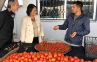 "Üniversite mezunları pazarcılık yapıyor!"