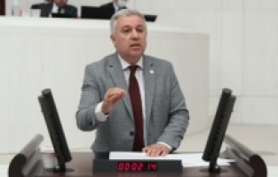 "Diyanet karidesi, kalamarı bıraksın; tacize, tecavüze 'Haram' desin"