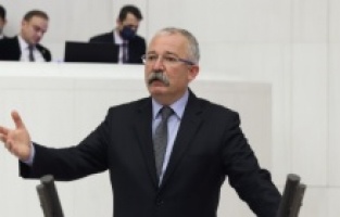 HDP'li Turan'dan zeytinlik tepkisi